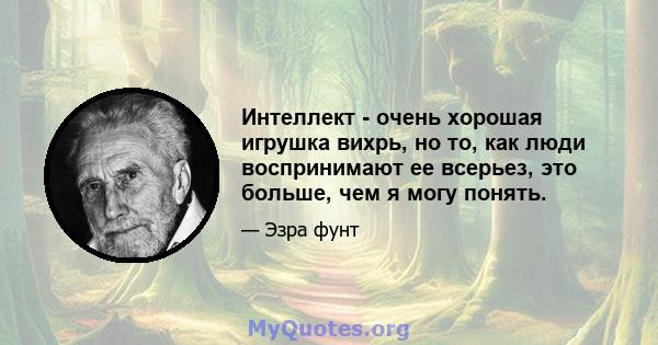 Интеллект - очень хорошая игрушка вихрь, но то, как люди воспринимают ее всерьез, это больше, чем я могу понять.