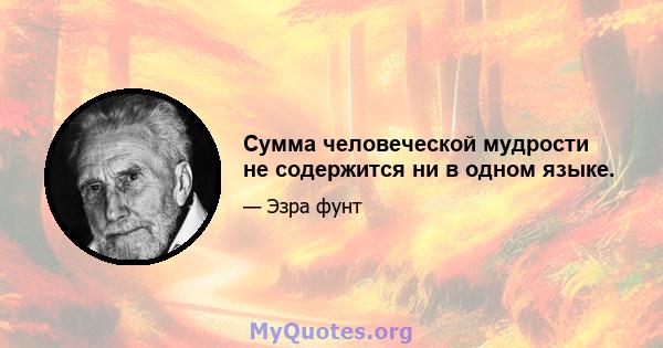 Сумма человеческой мудрости не содержится ни в одном языке.