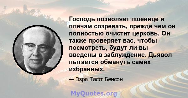 Господь позволяет пшенице и плечам созревать, прежде чем он полностью очистит церковь. Он также проверяет вас, чтобы посмотреть, будут ли вы введены в заблуждение. Дьявол пытается обмануть самих избранных.