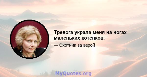 Тревога украла меня на ногах маленьких котенков.