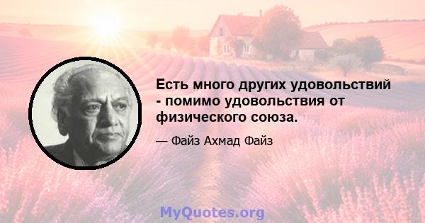 Есть много других удовольствий - помимо удовольствия от физического союза.