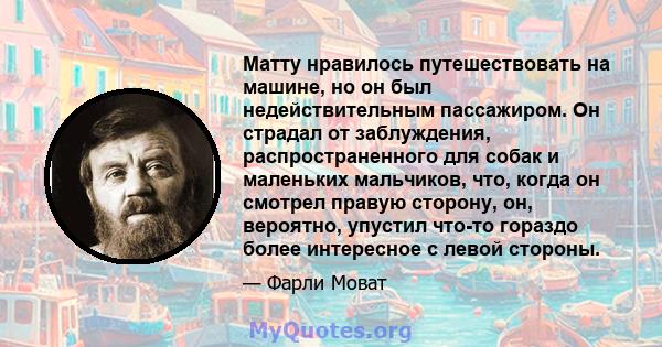 Матту нравилось путешествовать на машине, но он был недействительным пассажиром. Он страдал от заблуждения, распространенного для собак и маленьких мальчиков, что, когда он смотрел правую сторону, он, вероятно, упустил