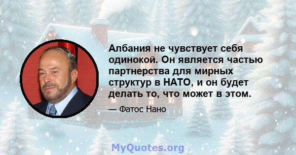 Албания не чувствует себя одинокой. Он является частью партнерства для мирных структур в НАТО, и он будет делать то, что может в этом.