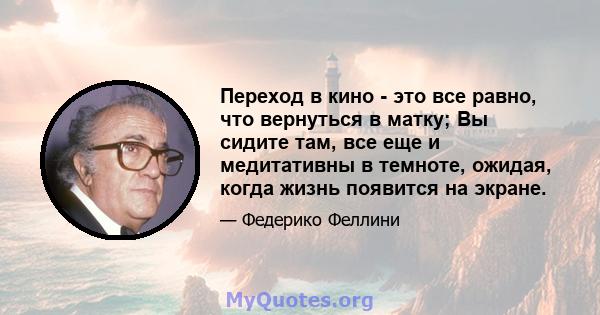 Переход в кино - это все равно, что вернуться в матку; Вы сидите там, все еще и медитативны в темноте, ожидая, когда жизнь появится на экране.