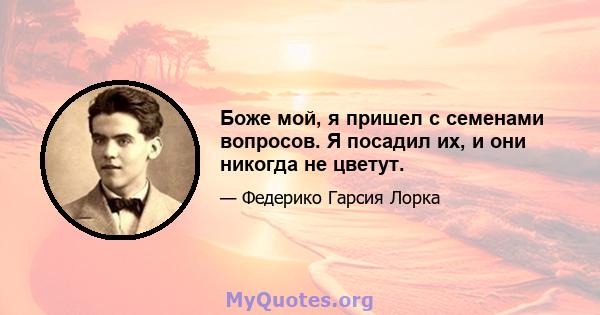 Боже мой, я пришел с семенами вопросов. Я посадил их, и они никогда не цветут.