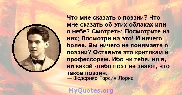 Что мне сказать о поэзии? Что мне сказать об этих облаках или о небе? Смотреть; Посмотрите на них; Посмотри на это! И ничего более. Вы ничего не понимаете о поэзии? Оставьте это критикам и профессорам. Ибо ни тебя, ни