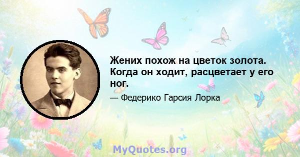 Жених похож на цветок золота. Когда он ходит, расцветает у его ног.