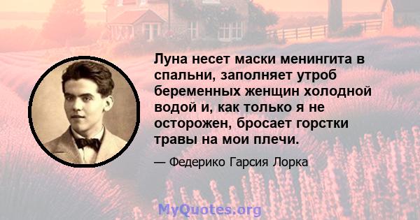 Луна несет маски менингита в спальни, заполняет утроб беременных женщин холодной водой и, как только я не осторожен, бросает горстки травы на мои плечи.