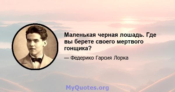 Маленькая черная лошадь. Где вы берете своего мертвого гонщика?