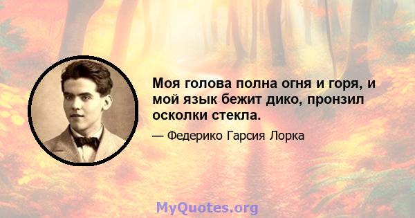 Моя голова полна огня и горя, и мой язык бежит дико, пронзил осколки стекла.