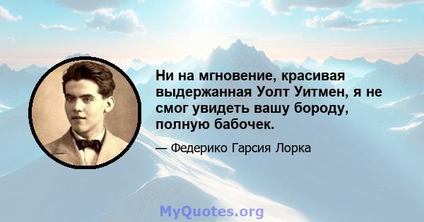 Ни на мгновение, красивая выдержанная Уолт Уитмен, я не смог увидеть вашу бороду, полную бабочек.