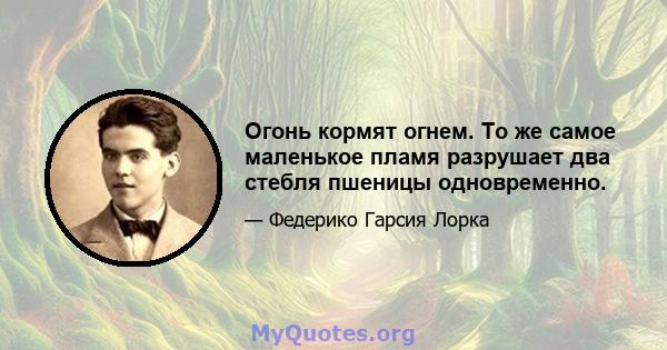 Огонь кормят огнем. То же самое маленькое пламя разрушает два стебля пшеницы одновременно.