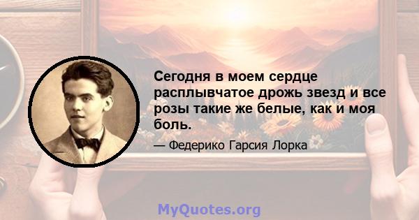 Сегодня в моем сердце расплывчатое дрожь звезд и все розы такие же белые, как и моя боль.