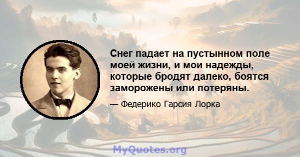 Снег падает на пустынном поле моей жизни, и мои надежды, которые бродят далеко, боятся заморожены или потеряны.