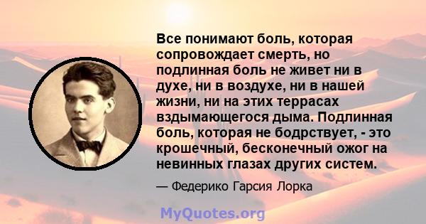 Все понимают боль, которая сопровождает смерть, но подлинная боль не живет ни в духе, ни в воздухе, ни в нашей жизни, ни на этих террасах вздымающегося дыма. Подлинная боль, которая не бодрствует, - это крошечный,