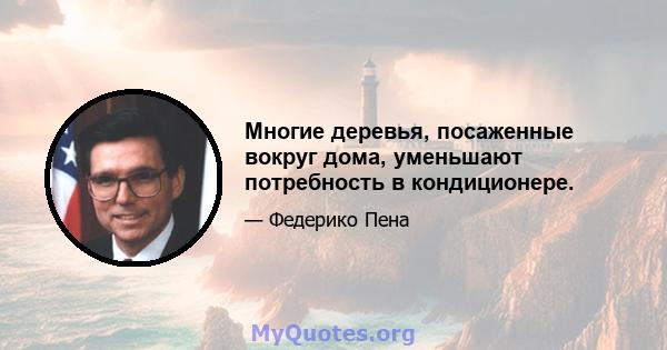 Многие деревья, посаженные вокруг дома, уменьшают потребность в кондиционере.