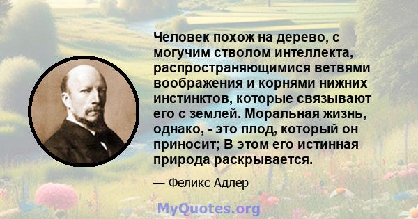 Человек похож на дерево, с могучим стволом интеллекта, распространяющимися ветвями воображения и корнями нижних инстинктов, которые связывают его с землей. Моральная жизнь, однако, - это плод, который он приносит; В