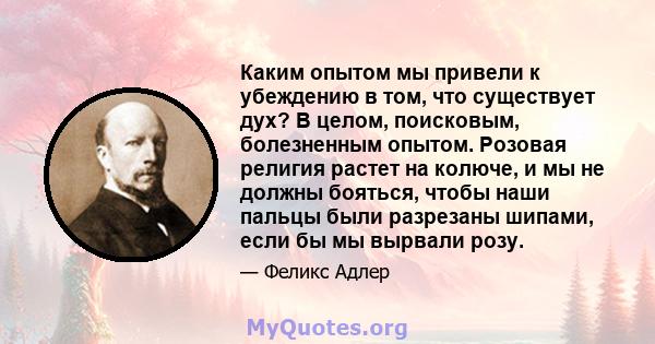 Каким опытом мы привели к убеждению в том, что существует дух? В целом, поисковым, болезненным опытом. Розовая религия растет на колюче, и мы не должны бояться, чтобы наши пальцы были разрезаны шипами, если бы мы