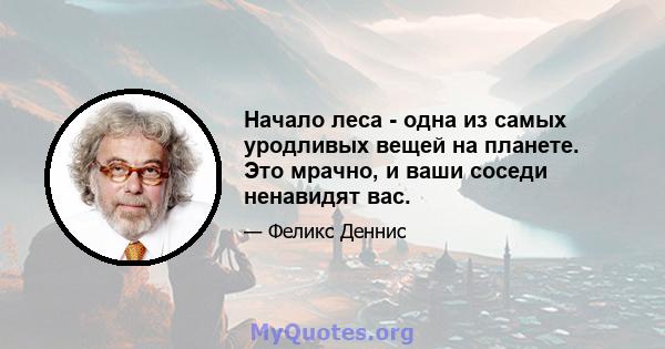 Начало леса - одна из самых уродливых вещей на планете. Это мрачно, и ваши соседи ненавидят вас.