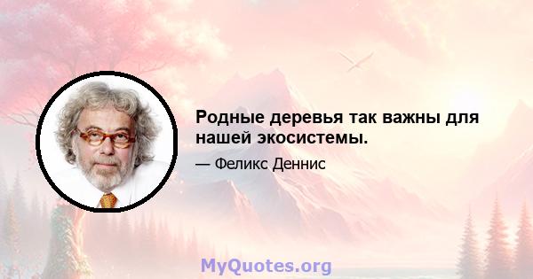 Родные деревья так важны для нашей экосистемы.