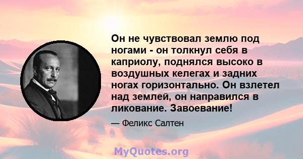 Он не чувствовал землю под ногами - он толкнул себя в каприолу, поднялся высоко в воздушных келегах и задних ногах горизонтально. Он взлетел над землей, он направился в ликование. Завоевание!