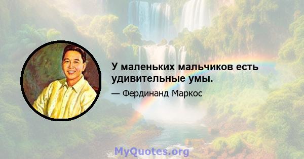 У маленьких мальчиков есть удивительные умы.