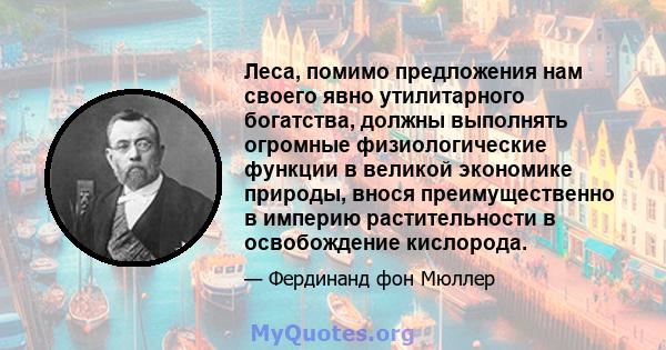 Леса, помимо предложения нам своего явно утилитарного богатства, должны выполнять огромные физиологические функции в великой экономике природы, внося преимущественно в империю растительности в освобождение кислорода.