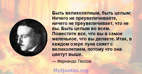 Быть великолепным, быть целым; Ничего не преувеличивайте, ничего не преувеличивает, что не вы. Быть целым во всем. Поместите все, что вы в самое маленькое, что вы делаете. Итак, в каждом озере луна сияет с великолепием, 