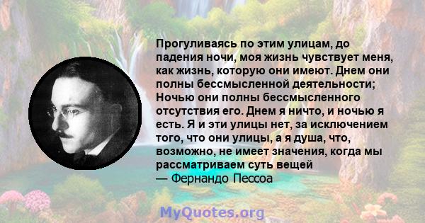 Прогуливаясь по этим улицам, до падения ночи, моя жизнь чувствует меня, как жизнь, которую они имеют. Днем они полны бессмысленной деятельности; Ночью они полны бессмысленного отсутствия его. Днем я ничто, и ночью я