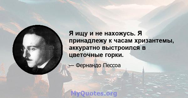 Я ищу и не нахожусь. Я принадлежу к часам хризантемы, аккуратно выстроился в цветочные горки.