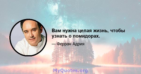 Вам нужна целая жизнь, чтобы узнать о помидорах.