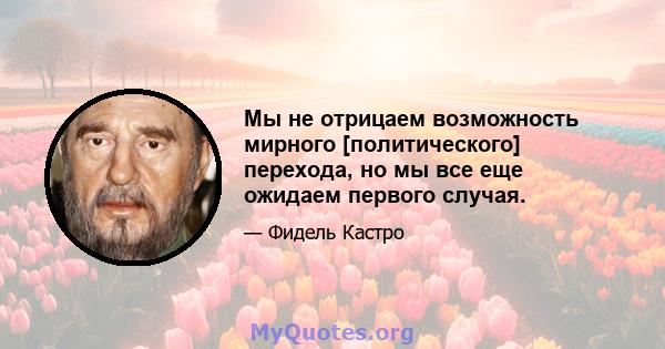 Мы не отрицаем возможность мирного [политического] перехода, но мы все еще ожидаем первого случая.