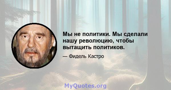 Мы не политики. Мы сделали нашу революцию, чтобы вытащить политиков.