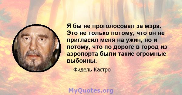 Я бы не проголосовал за мэра. Это не только потому, что он не пригласил меня на ужин, но и потому, что по дороге в город из аэропорта были такие огромные выбоины.