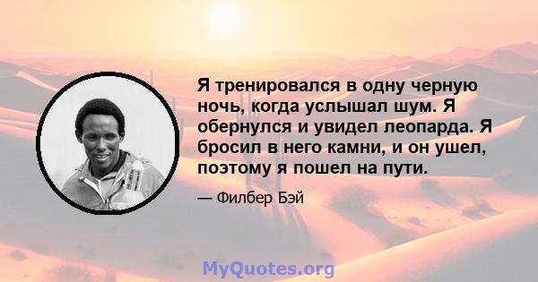 Я тренировался в одну черную ночь, когда услышал шум. Я обернулся и увидел леопарда. Я бросил в него камни, и он ушел, поэтому я пошел на пути.