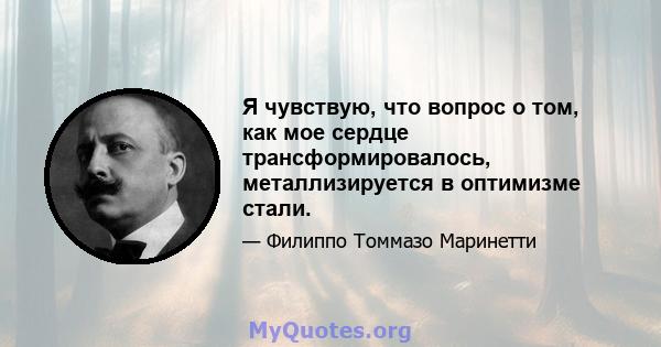 Я чувствую, что вопрос о том, как мое сердце трансформировалось, металлизируется в оптимизме стали.