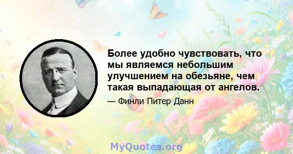 Более удобно чувствовать, что мы являемся небольшим улучшением на обезьяне, чем такая выпадающая от ангелов.