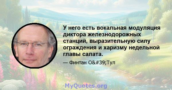 У него есть вокальная модуляция диктора железнодорожных станций, выразительную силу ограждения и харизму недельной главы салата.