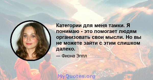 Категории для меня тамки. Я понимаю - это помогает людям организовать свои мысли. Но вы не можете зайти с этим слишком далеко.