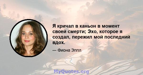 Я кричал в каньон в момент своей смерти; Эхо, которое я создал, пережил мой последний вдох.