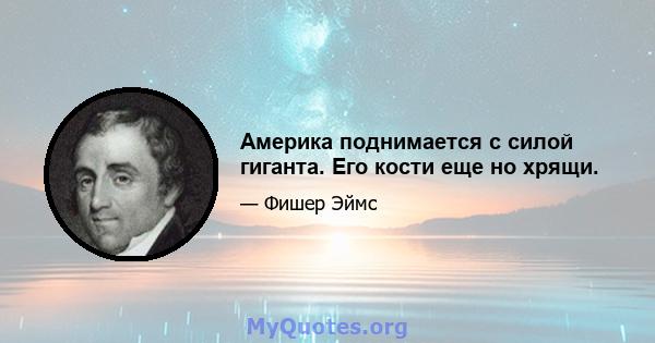 Америка поднимается с силой гиганта. Его кости еще но хрящи.