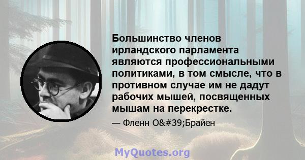 Большинство членов ирландского парламента являются профессиональными политиками, в том смысле, что в противном случае им не дадут рабочих мышей, посвященных мышам на перекрестке.