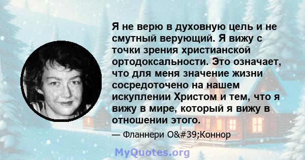 Я не верю в духовную цель и не смутный верующий. Я вижу с точки зрения христианской ортодоксальности. Это означает, что для меня значение жизни сосредоточено на нашем искуплении Христом и тем, что я вижу в мире, который 