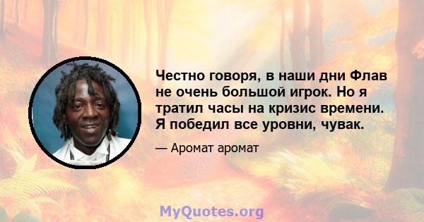 Честно говоря, в наши дни Флав не очень большой игрок. Но я тратил часы на кризис времени. Я победил все уровни, чувак.