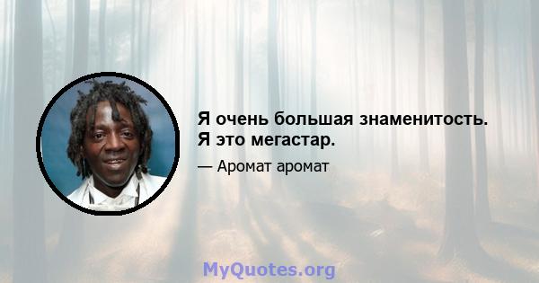 Я очень большая знаменитость. Я это мегастар.