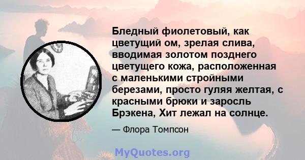 Бледный фиолетовый, как цветущий ом, зрелая слива, вводимая золотом позднего цветущего кожа, расположенная с маленькими стройными березами, просто гуляя желтая, с красными брюки и заросль Брэкена, Хит лежал на солнце.