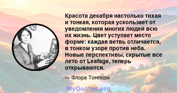 Красота декабря настолько тихая и тонкая, которая ускользает от уведомления многих людей всю их жизнь. Цвет уступает место форме: каждая ветвь отличается, в тонком узоре против неба. Новые перспективы, скрытые все лето