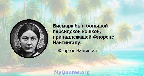 Бисмарк был большой персидской кошкой, принадлежащей Флоренс Найтингалу.