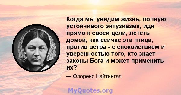 Когда мы увидим жизнь, полную устойчивого энтузиазма, идя прямо к своей цели, лететь домой, как сейчас эта птица, против ветра - с спокойствием и уверенностью того, кто знает законы Бога и может применить их?