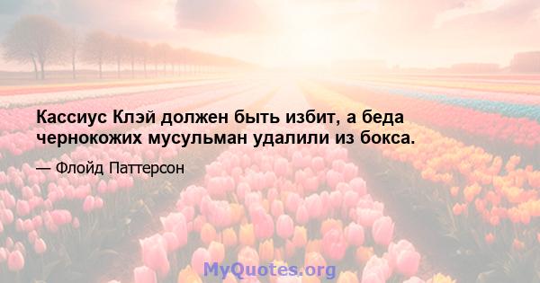 Кассиус Клэй должен быть избит, а беда чернокожих мусульман удалили из бокса.